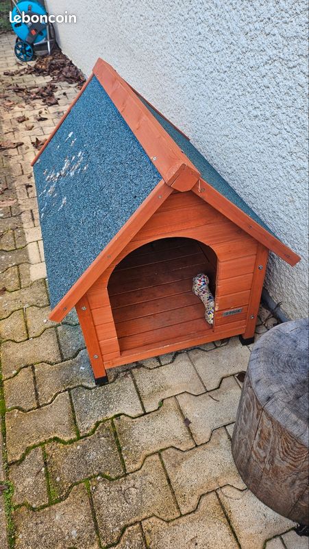 Niche (image 1)