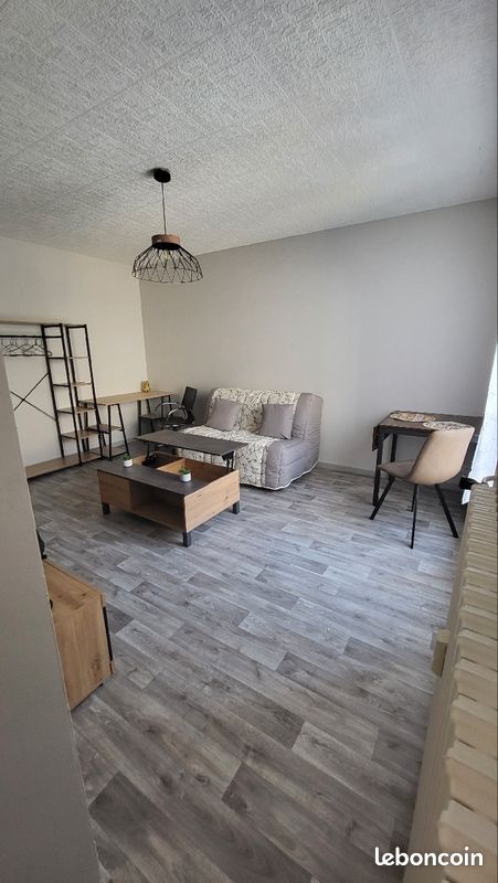 Studio meublé - Limoges 87000 Centre-Hôtel de Ville Emailleurs (image principale 0)