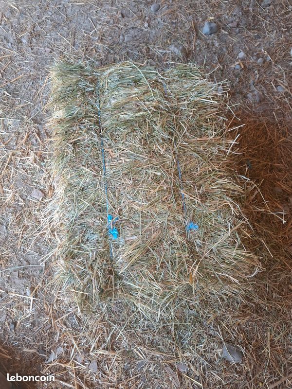 Vend petite botte de paille et foin (image 3)