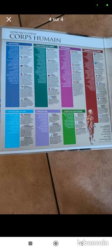 Livre corps humain (image 4)