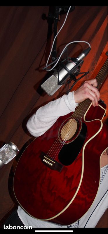 Guitare Takamine - Folk électroacoustique - EG440CSTRA (image 6)