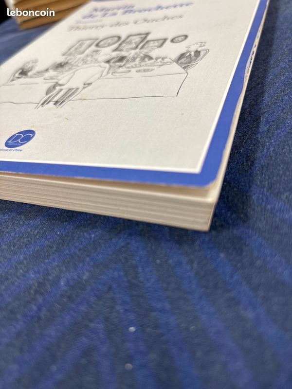 Livre « Martin de La Brochette » de Thierry des Ouches (image 3)