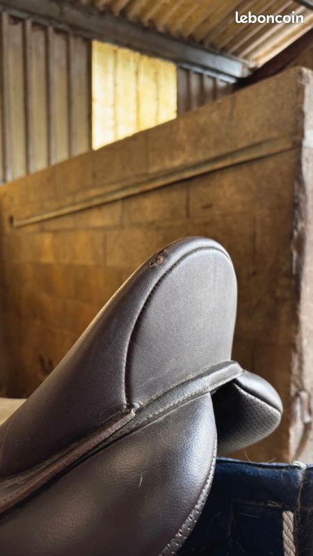 Selle d'équitation (image 3)