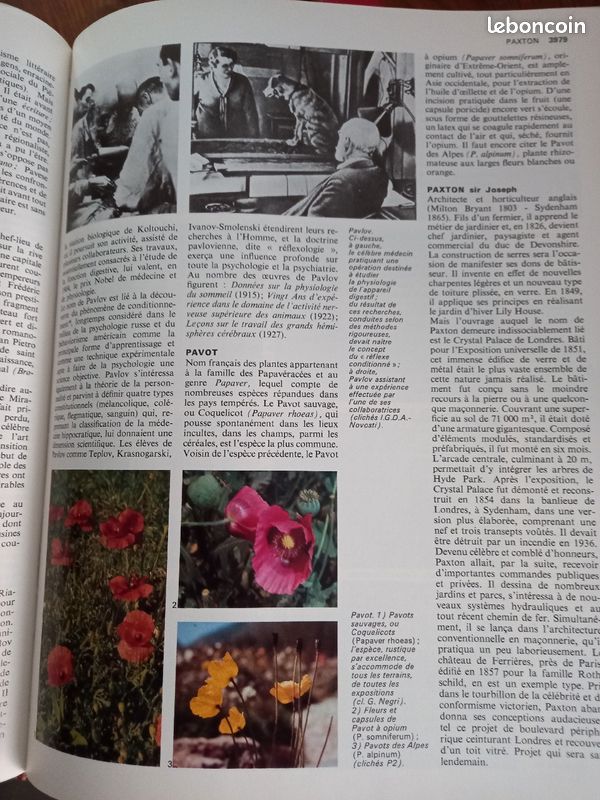 Encyclopedie A.Z COMPLÈTE négociable (image 2)