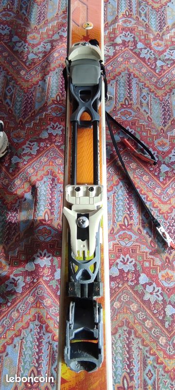 Skis de randonnée Dynastar à BOËGE (image 1)