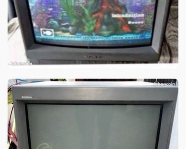 Sony PVM 20M2E SDI - Moniteur Vidéo CRT 20 Pouces Pour Rétrogaming - Occasion