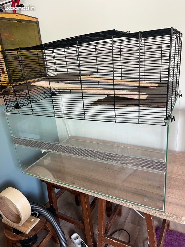 Cage rongeur (gerbille, souris, hamster, rat) (image 2)
