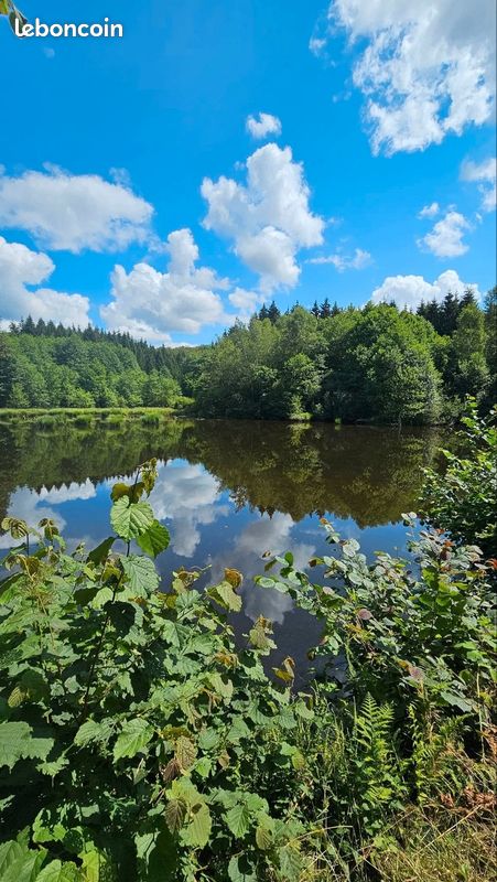 Bel étang et sa forêt · à Servance-Miellin · 59 000 €