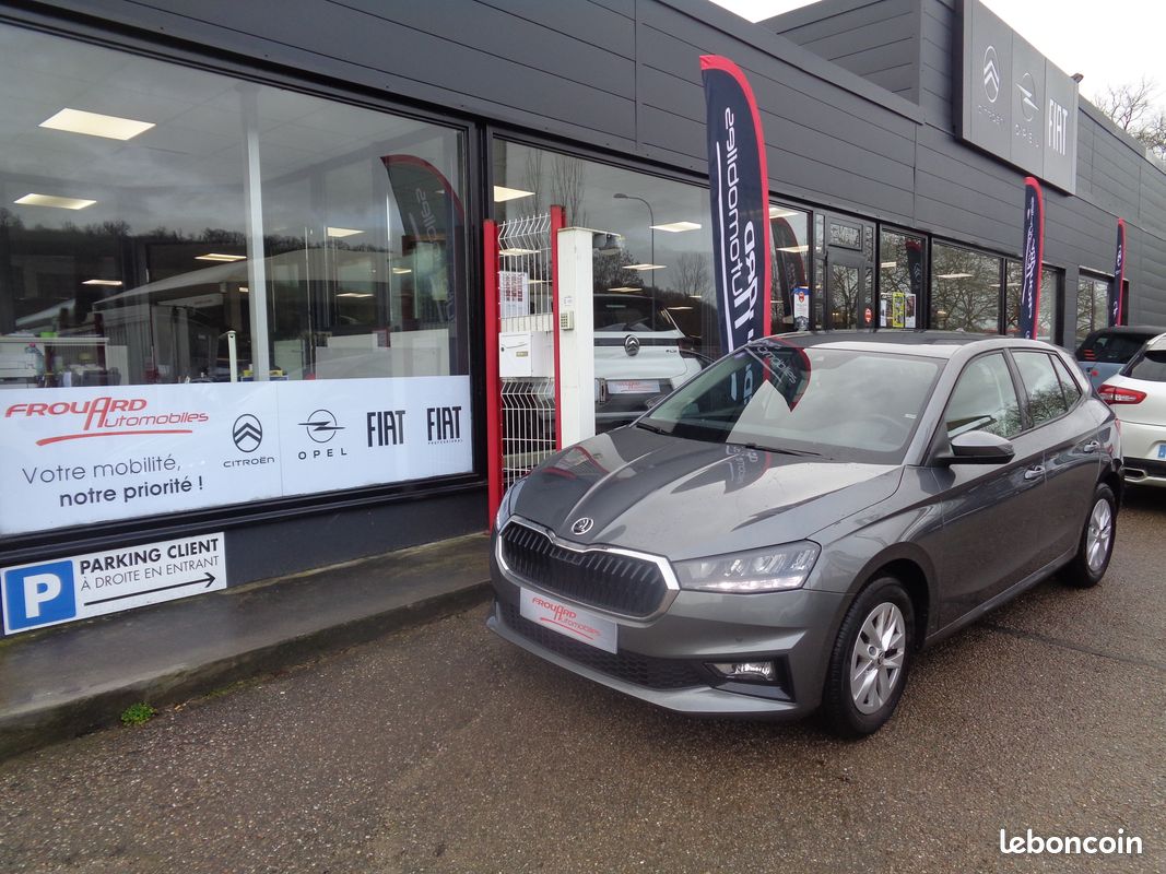 Skoda fabia 1.0 tsi 95 evo 2 selection bvm5 (image 1)