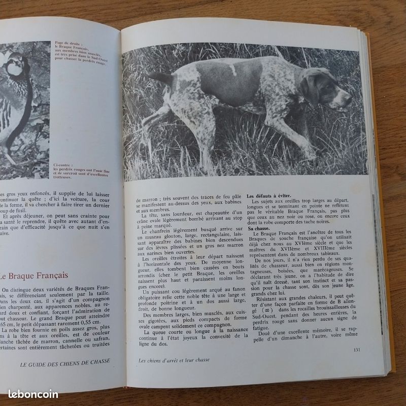 Livre guide des chiens de chasse (image 3)