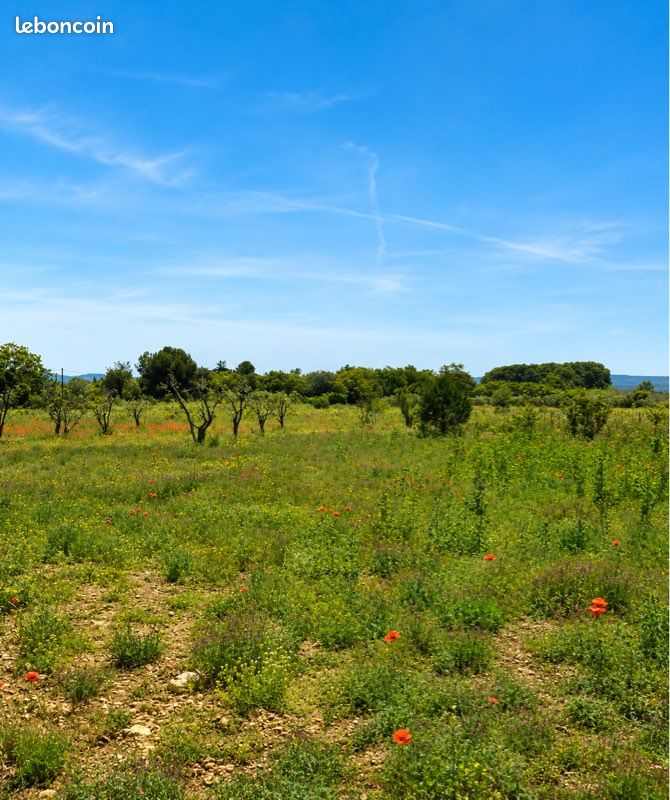 Terrain de loisir agricole jardin Vend terrain de loisir/agricole d’une superficie de 5725m2 · à Saint-André-de-Sangonis · 25