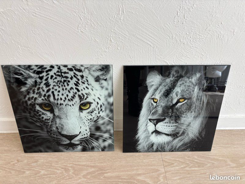 Cadre en verre Lion / Tigre en TBE (image 1)