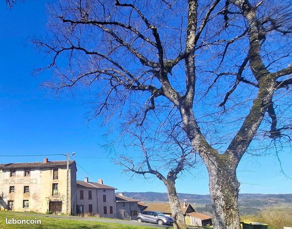 Propriété 7 pièces 100 m²