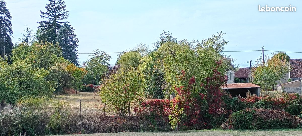 Terrain à Batir - 44000 · à Saint-Georges-sur-Cher · 44 000 €