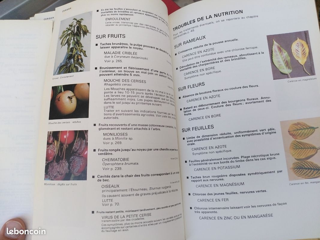 Guide de défense des cultures (image 2)