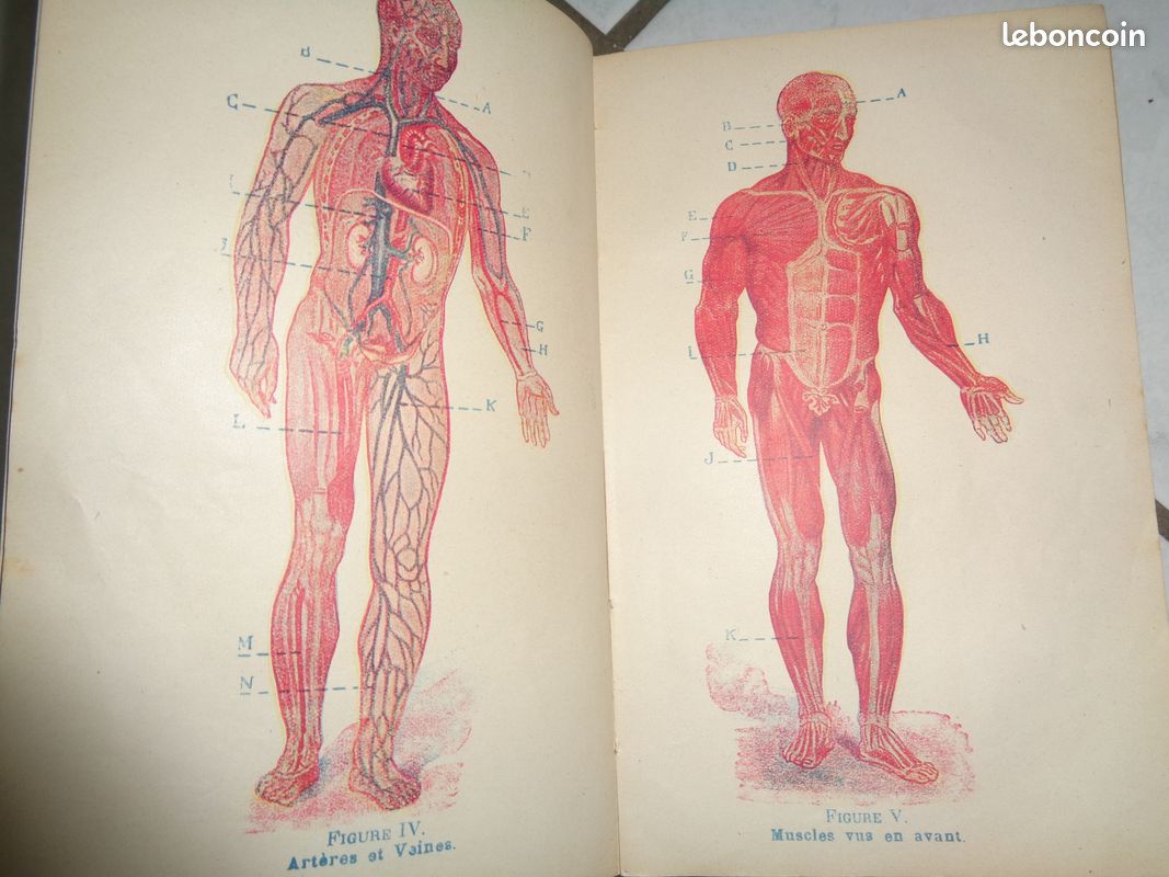 Très ancien livre de médecine (image 4)
