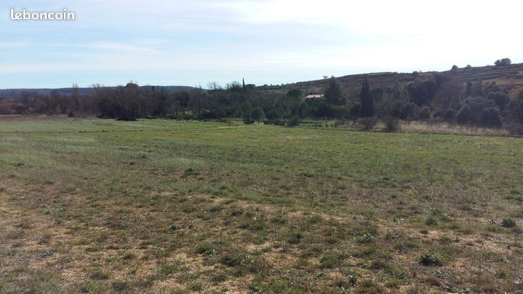 Terrain agricole