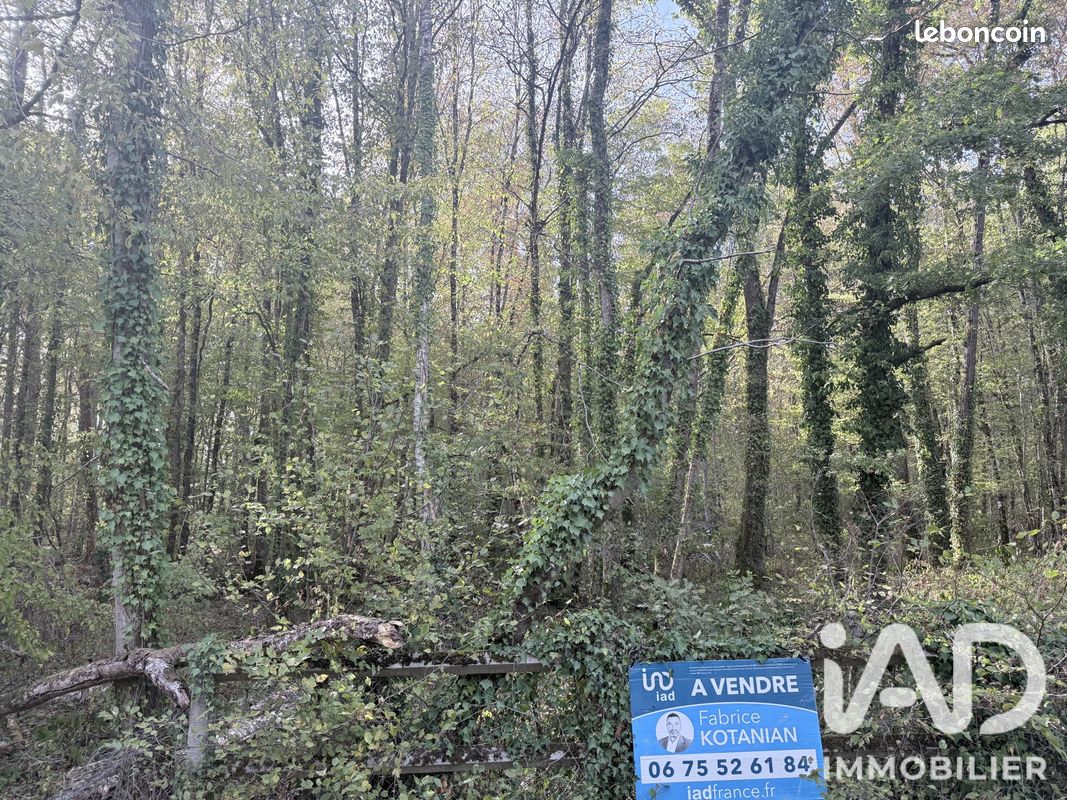 Terrain 2362 m² · à Sommecaise · 2 362 m² · 23 000 €
