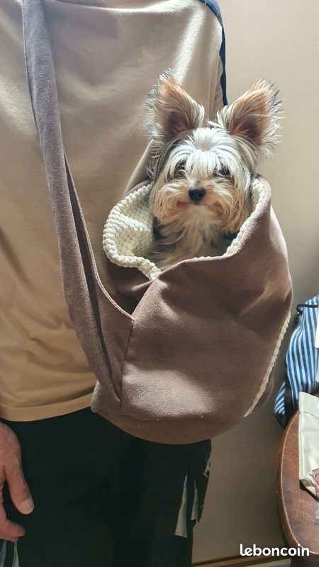 Sac transport petit chien confortable état neuf Accessoires animaux