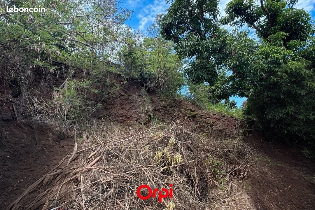 Terrain 733 m² Sainte Marie (image 6)
