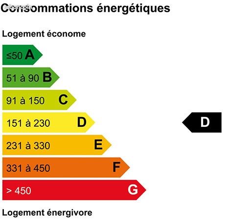 https://img.leboncoin.fr/api/v1/lbcpb1/images/db/44/c3/db44c32ea06c4532e897034fa8bd553bfc87a806.jpg?rule=ad-image