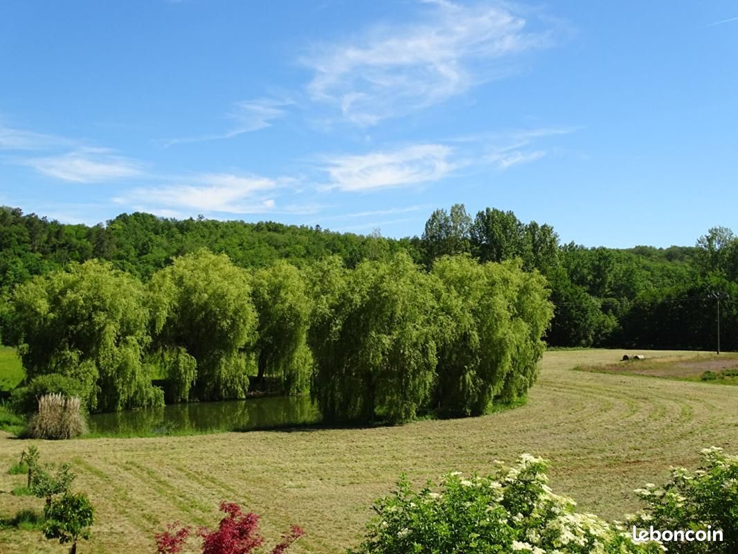 Maison 4 pièces 195 m² (image 5)