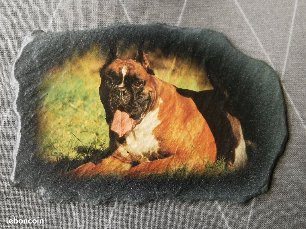 Figurine chien Boxer, Dogue (image 3)