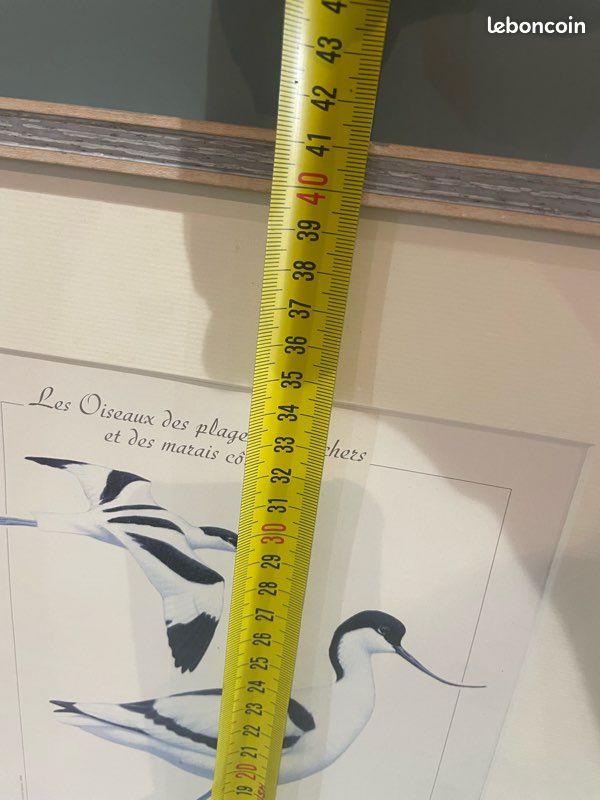 GRAND CADRE oiseaux (image 3)