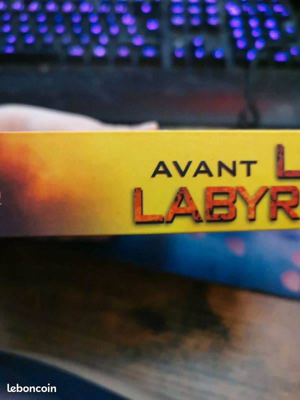 Tome 4 Le labyrinthe Fr (image 3)