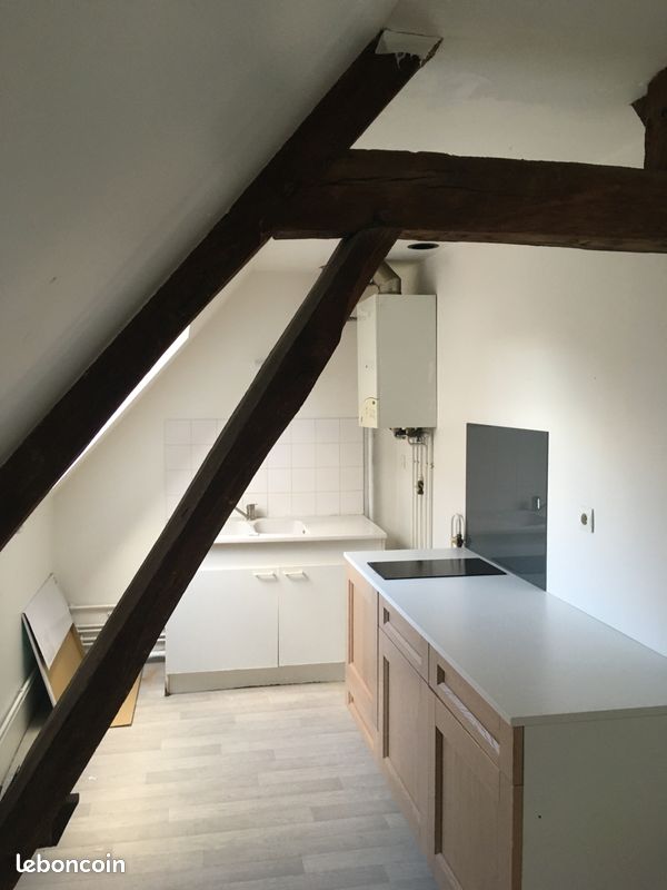 Appartement 2 pièces 50 m² · à Châtillon-sur-Loire · 50 m² · 460 €