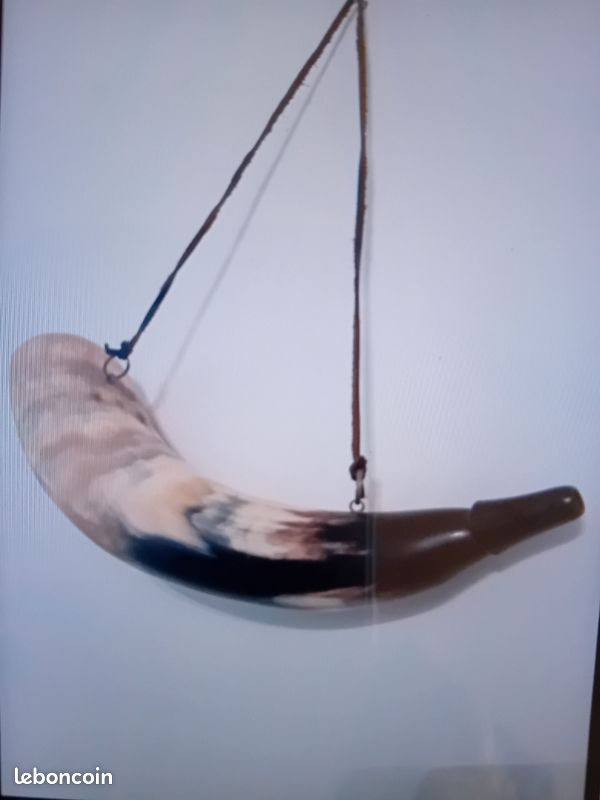Corne de chasse (image 5)