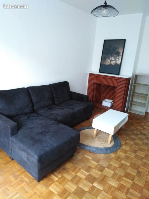 Appartement meublé T2 - Limoges 87000 Bénédictins-Montplaisir (image principale 1)