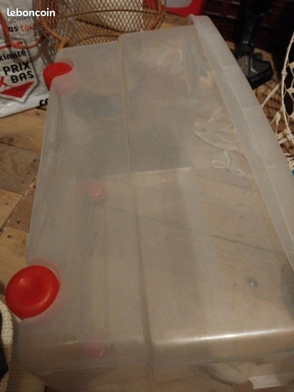 Caisse plastique (image 2)