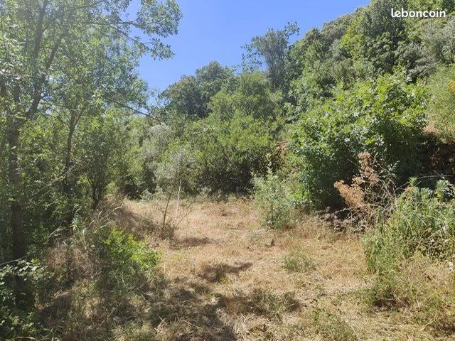 Terrain 6290 m² Le Bosc (image 10)