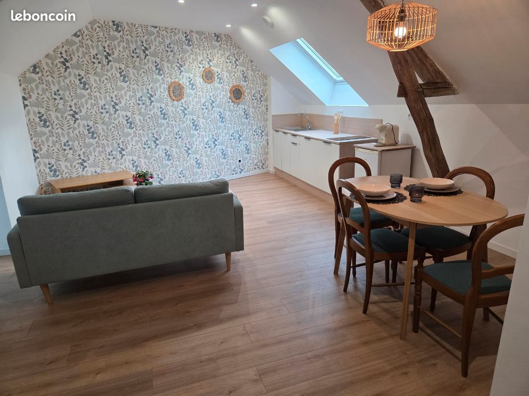 Appartement 2 pièces 55 m² · à Saint-Florent-sur-Cher · 55 m² · 570 €/mois