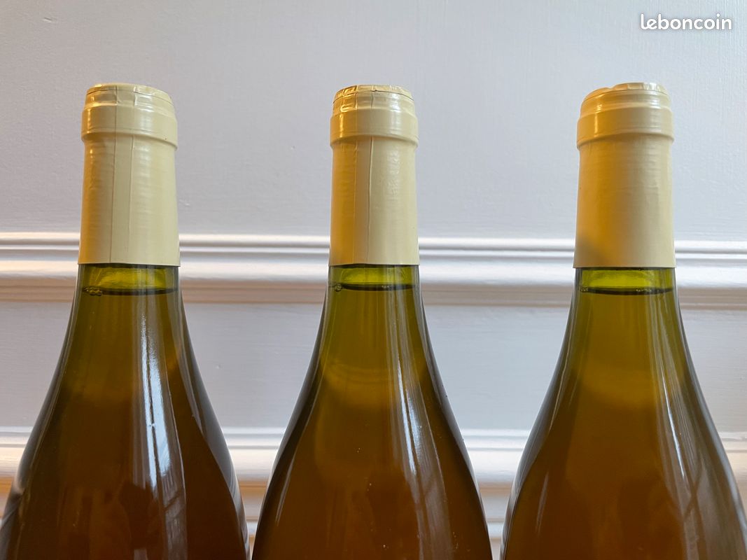 Bourgogne Hautes-Côtes de Nuits Blanc 2000 (image 3)