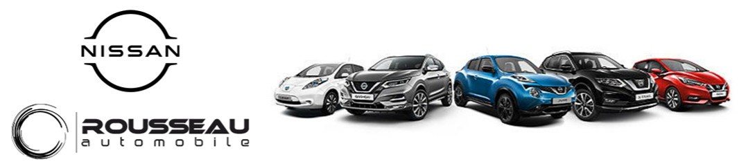 Nissan Rousseau SaintOuen l’Aumône  Pro leboncoin