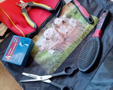 Kit De Toilettage Pour Animaux 8 Pièces Avec Sac De Rangement - Occasion Très Bon état - Bentley