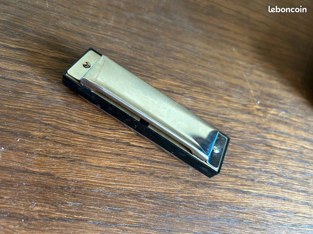 Harmonica 10 trous (image 3)