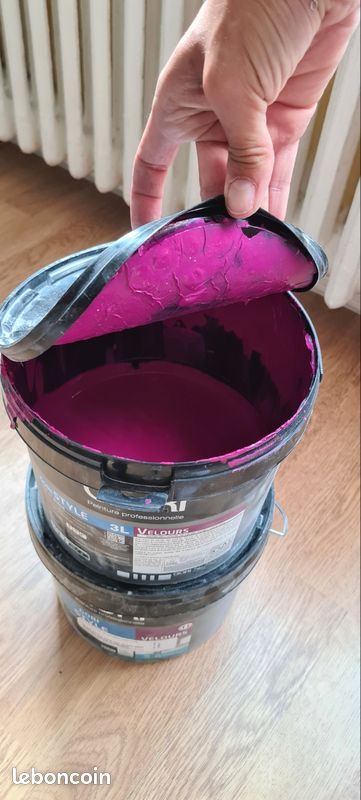 Pot peinture Gori Rose Guarana CH2 0535 4L restants (image 1)