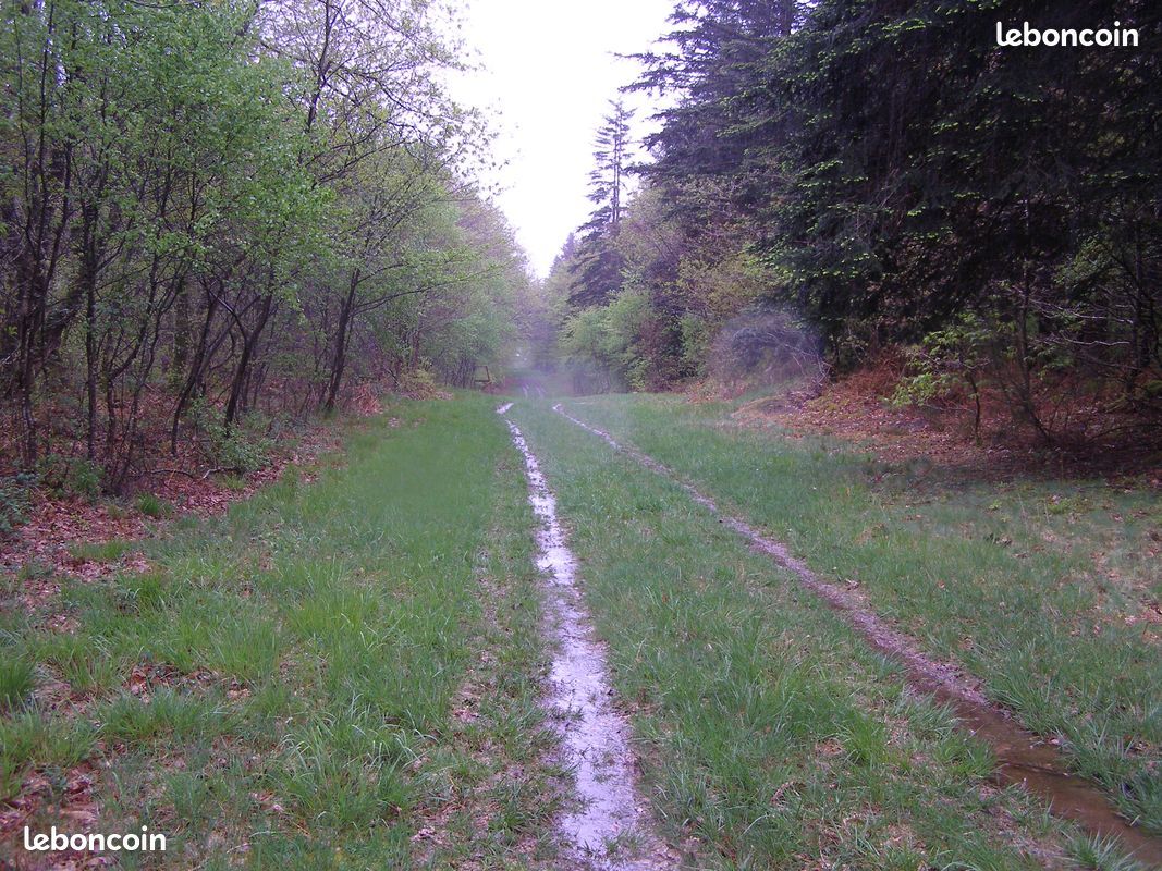 Action de chasse grand gibier 2025-2026 (image 3)