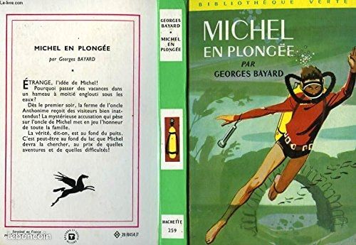 Michel en plongée bibliothèque verte (image 2)