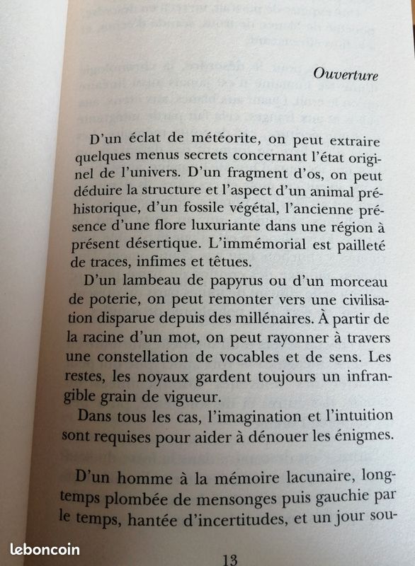 Magnus - Sylvie Germain (image 4)