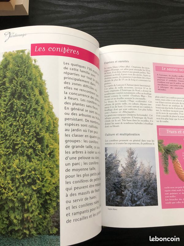 Le jardinage, simple et pratique (image 3)