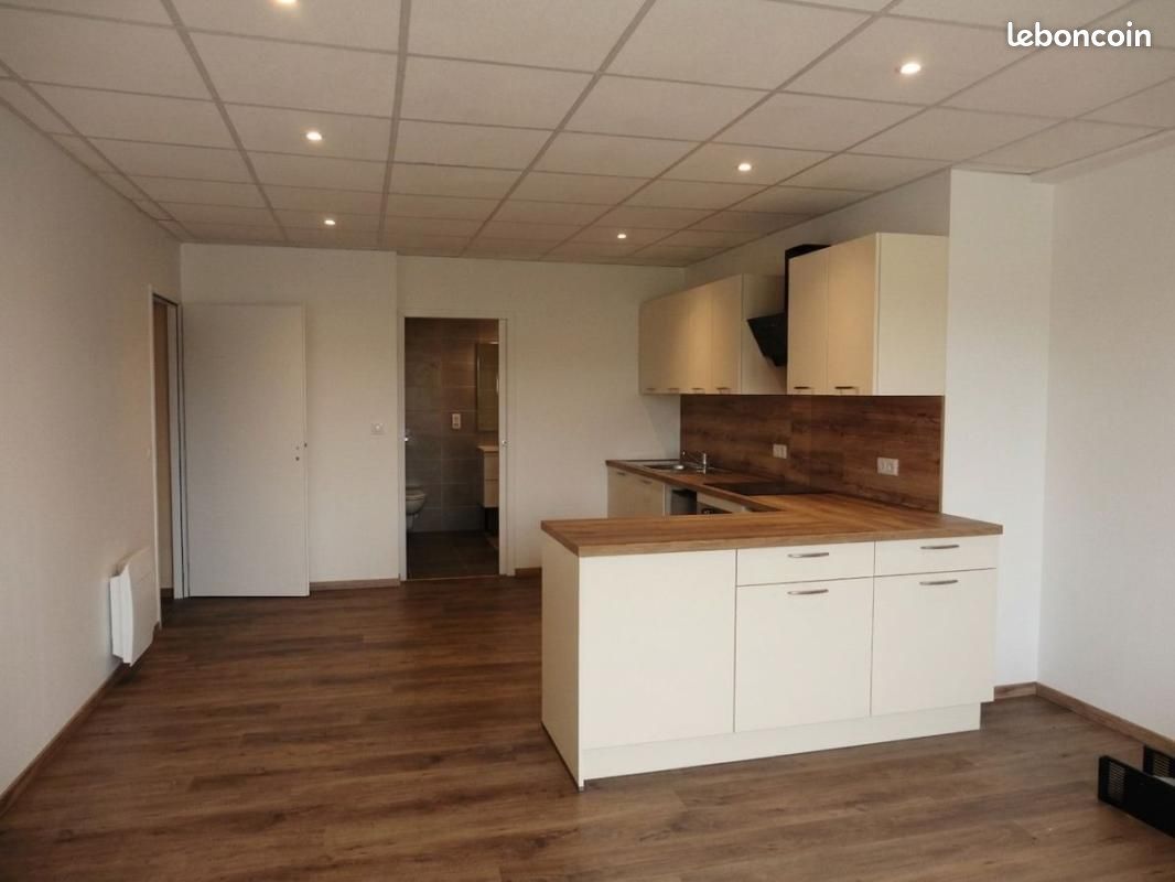 Appartement 1 pièce 45 m² · à Cosne-Cours-sur-Loire · 45 m² · 470 €