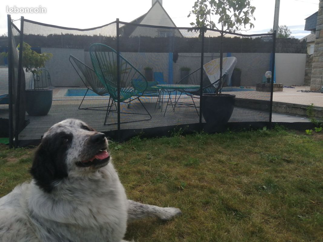 Barrière sécurité pour piscine aqualux 2x3.20m, h 1.25 (image 2)
