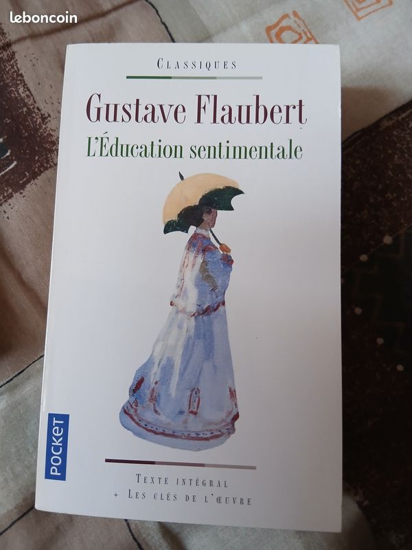 L'éducation sentimentale Flaubert (image 1)
