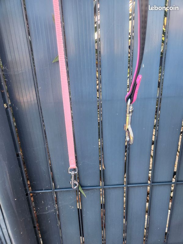 2 laisses petits chiens neuves (image 2)