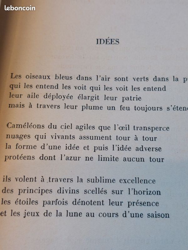 Les ziaux de Queneau EO 1943 (image 5)