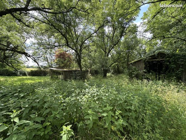 Terrain 1760 m² Parcoul-Chenaud